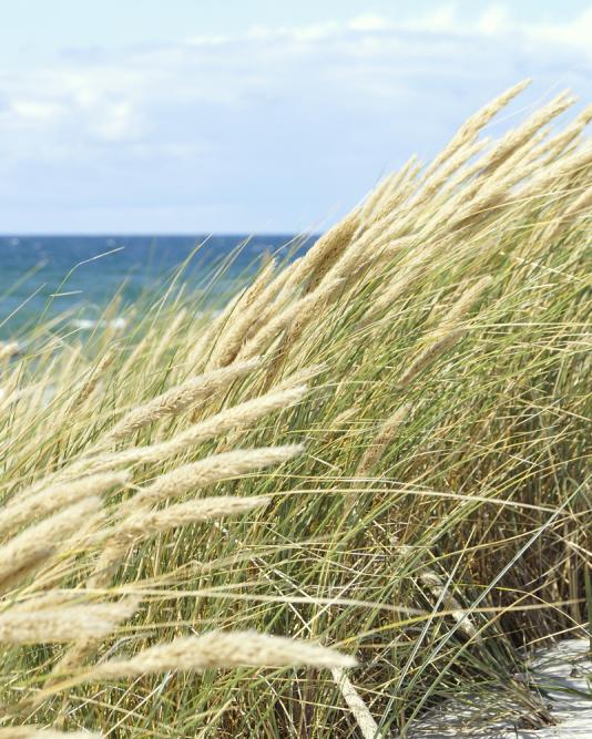 Symbolbild Workshops